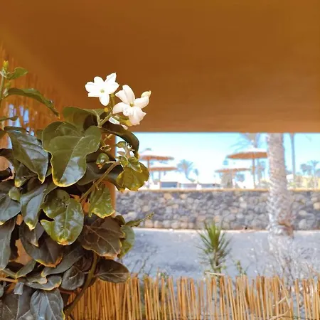 Mai Fuerteventura By Best Holidays Fuerteventura *